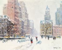 Central Park in Winter