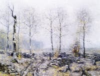 Old Wood Lot