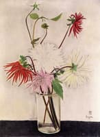 Flowers, Dahlias