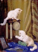 Playtime with Two Cats