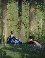 Spring in the Birch Wood