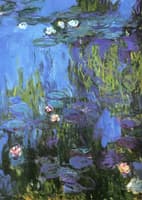 Water-Lilies