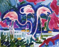 Flamingos