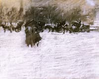 The Park in Winter
