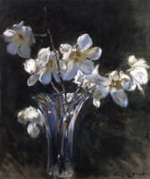 Magnolias in a Vase