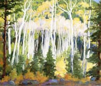 Aspens at Hondo