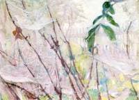The Cobweb