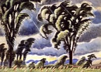 Windblown Elms