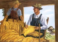 Farmers in the Grading Barn