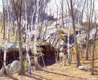 Birch Grove