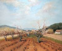 Tending the Orchard