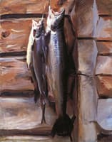 A Study of Salmon in Norway
