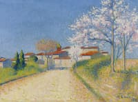 Almond Trees Blooming near Cailhau