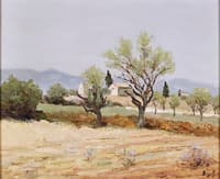 Almond Trees