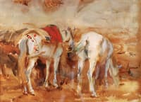 White Mules