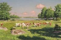 Summer landscape with grazing cattle