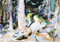 A Forest Scene, Val d'Aosta