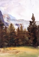 Fir Trees and Snow Mountains, Purtud