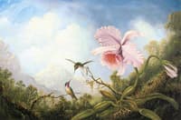Two Hummingbirds and an Orchid