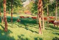 Grazing cows at Schedevi, Tjärstad