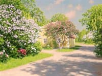 Spring Garden in Blossom