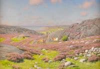 Scene from Halland North Coast