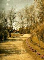 Spring