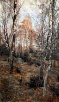 Forest Landscape