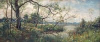 Summer Landscape