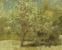Apple Tree (sketch)