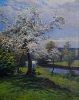 Fruit Trees in Blossom