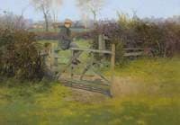 Sitting on a Gate, Bushey